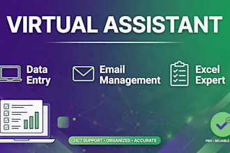 be your virtual assistant for data entry