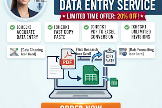 data entry, copy paste, and excel conversion