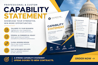 create a professional government contract capability statement