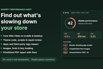 audit your shopify store speed and performance