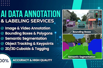 do precise ai data annotation and labeling