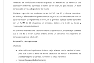 write physical therapy and rehab case studies in spanish