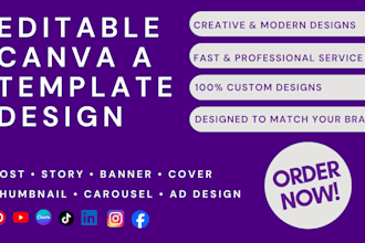 design editable canva templates and social media posts, lead magnet, canva ebook