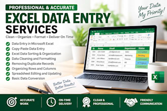 do data entry, excel data sorting, data cleaning and formatting