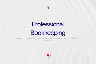 do professional bookkeeping in xero or qbo