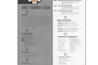 design and format a professional resume or CV