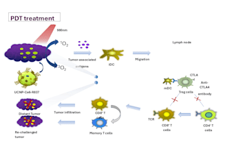 create scientific illustrations, and graphical abstracts