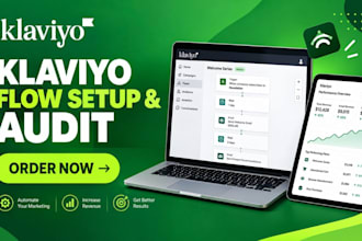 klaviyo flow setup klaviyo email flow audit klaviyo email automation flow