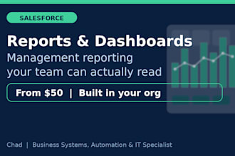 create professional salesforce reports and dashboards