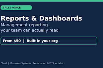 create professional salesforce reports and dashboards