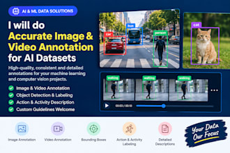 do accurate image and video annotation for ai datasets