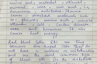 write professional neat and clean hand written notes and assignments