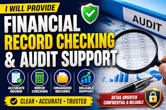 provide financial records checking and audit support