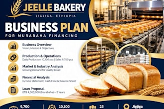 write business proposals, feasibilities financial projection
