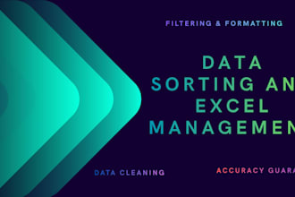 do professional data sorting, data management, and excel data entry