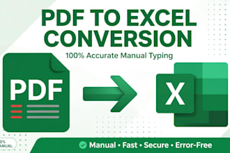 convert PDF to excel and do data entry typing accurately