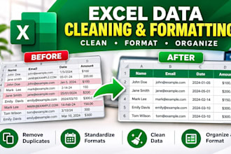 clean and format your excel data