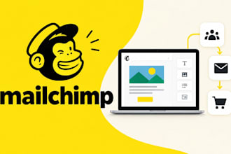 mailchimp segmentation email automation plan mailerlite groups list structure