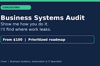 audit your business systems and identify automation opportunities