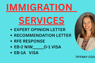 prepare response to the eb2niw or eb1a rfe from uscis