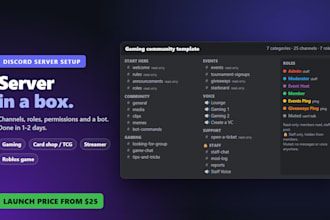 set up your discord server with channels, roles, permissions and a bot
