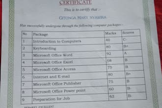 do expert data entry  data cleaning and data formatting