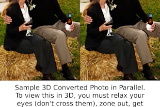 convert your 2d photos into stereoscopic 3d images