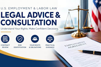 provide expert US employment contract workplace and labor law legal advice