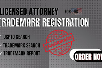 conduct a USA trademark search and provide a clear clearance report