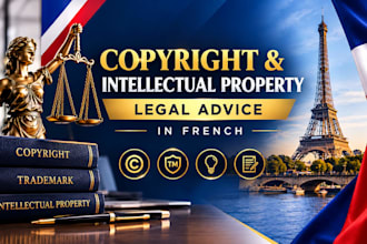 provide france copyright and intellectual property legal advice