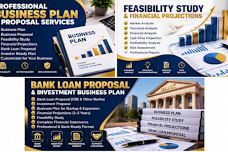 write professional business plans and feasibility studies