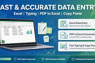 ido dataentry,typing,excel spreadsheet,copypaste work