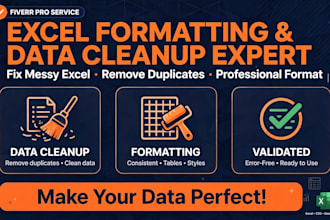 excel data formatting, data cleanup and data cleaning