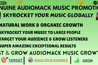 do professional organic audiomack song promotion for real growth using email ads