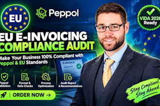 do eu e invoicing peppol setup vida compliance audit and vat report