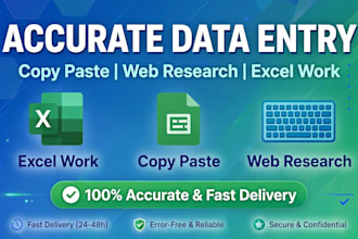accurate data entry copy paste web research and excel work