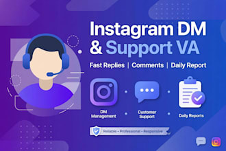 be your instagram dm manager and customer support va