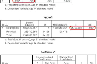 do spss statistical analysis and interpretation