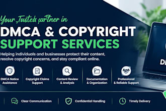 copyright infringement and dmca takedown notice