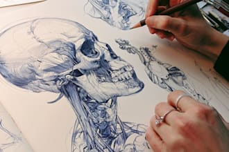 draw professional anatomy illustrations for websites and blogs