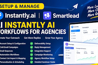 setup and manage instantly ai smartlead ai instantly ai workflows for agencies