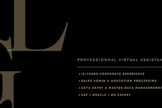 be your professional virtual assistant for sales and admin support