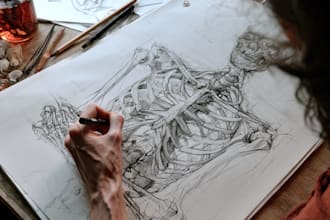 draw a professional anatomical medical drawing