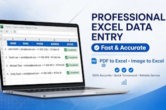 do data entry and pdf to excel conversion