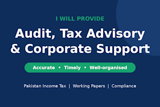 do audit  tax  advisory and corporate compliance support