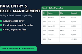 do data entry excel data management