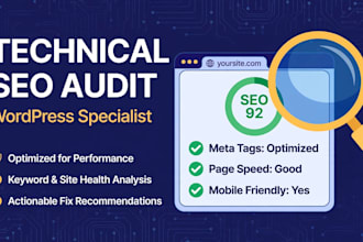 do a complete technical SEO audit of your wordpress website