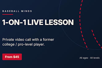 give you a private 1 on 1 baseball lesson over video call