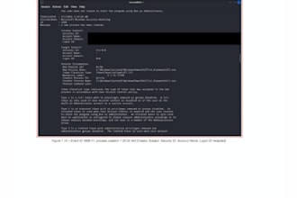 provide professional web app vulnerability assessment