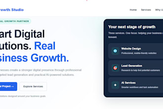 design a professional cleaning company website